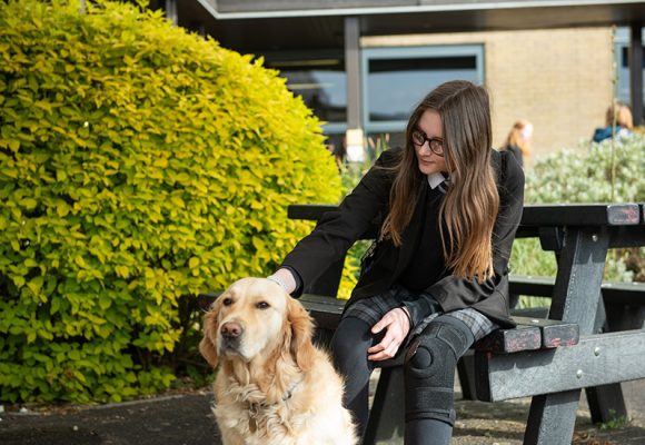 Image of a student sitting on a picnic bench in an outdoor school area, stroking a guide dog. The school building is in the background and there is a large green bush next to them.